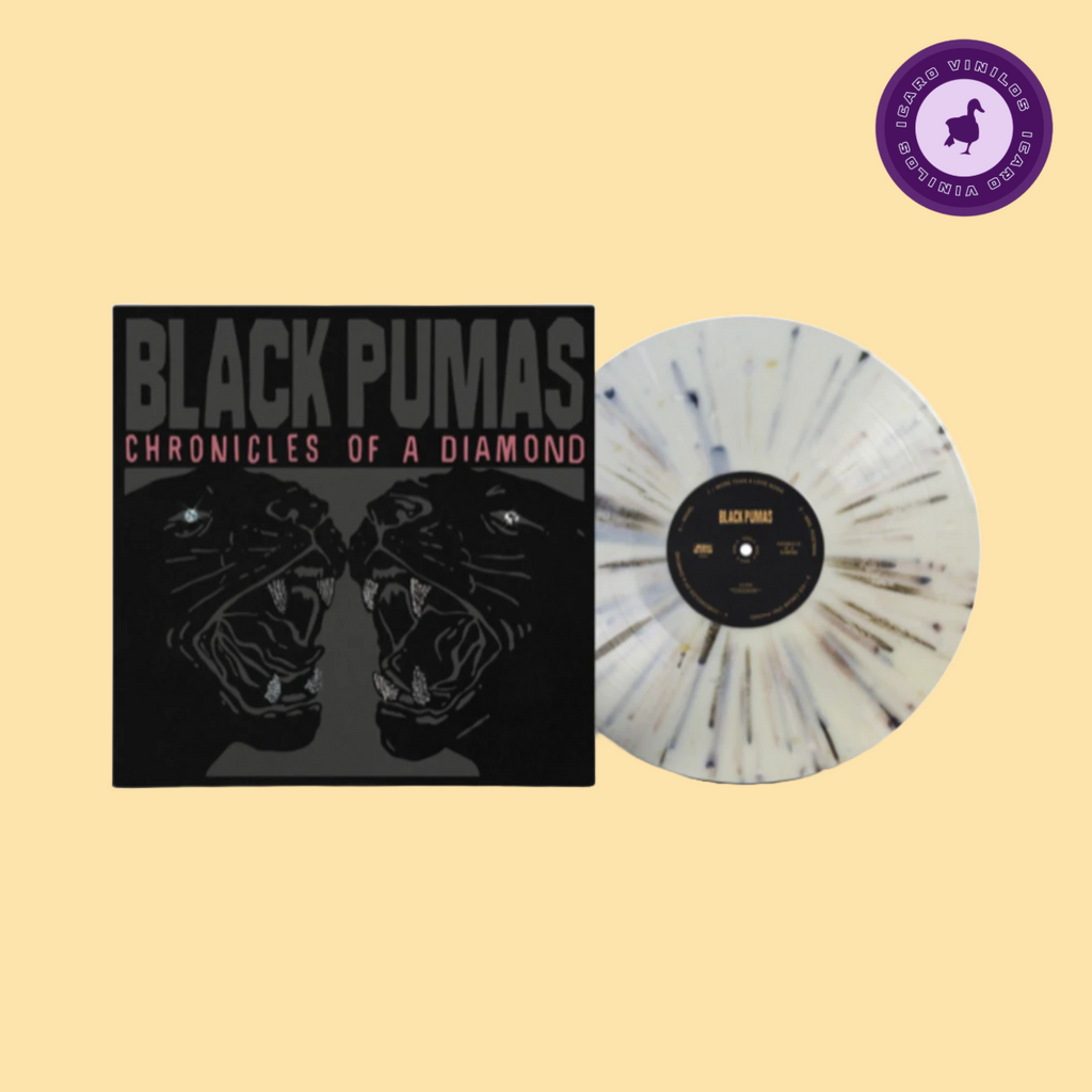 Chronicles of a Diamond - Black Pumas