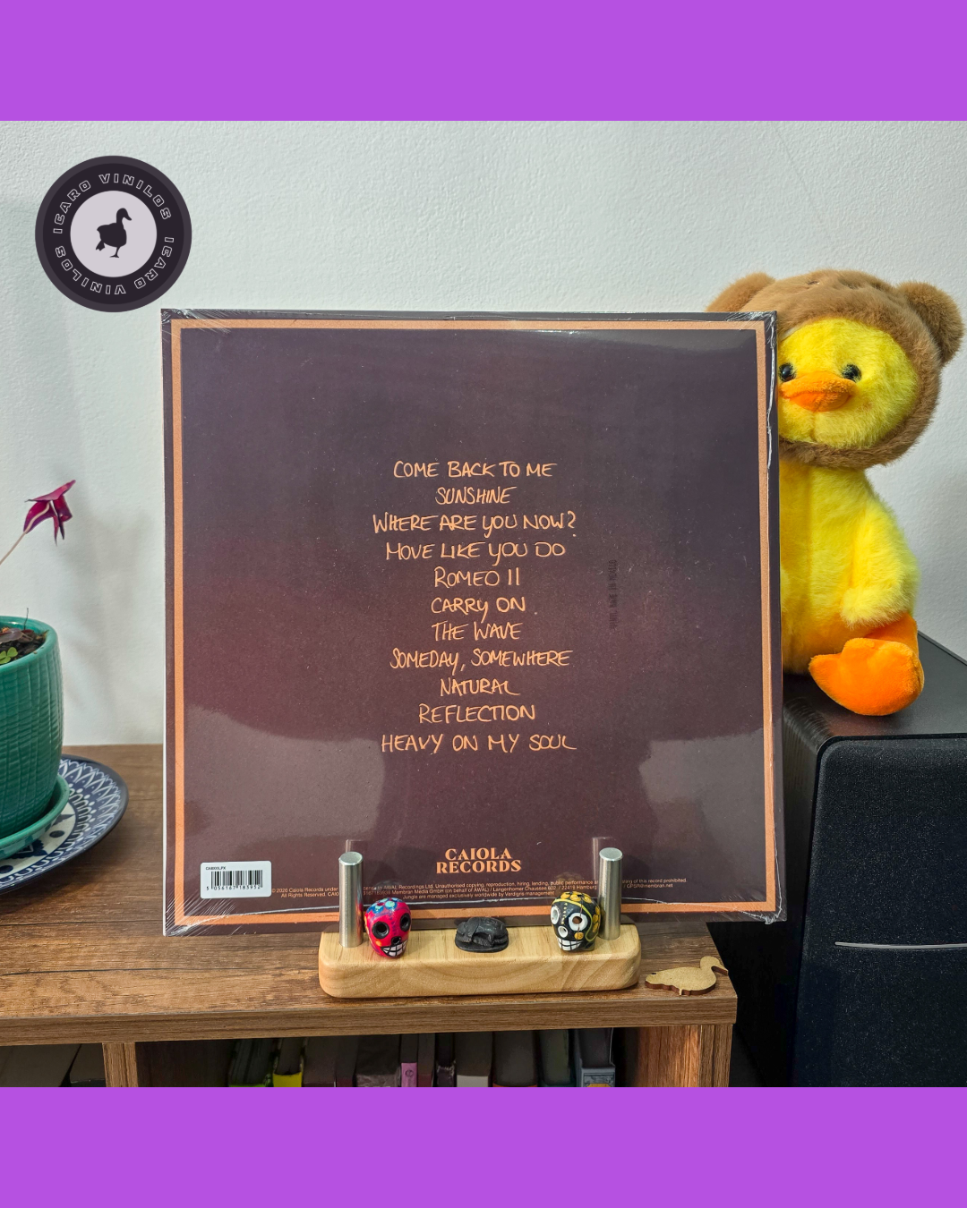 Sunshine - Jungle