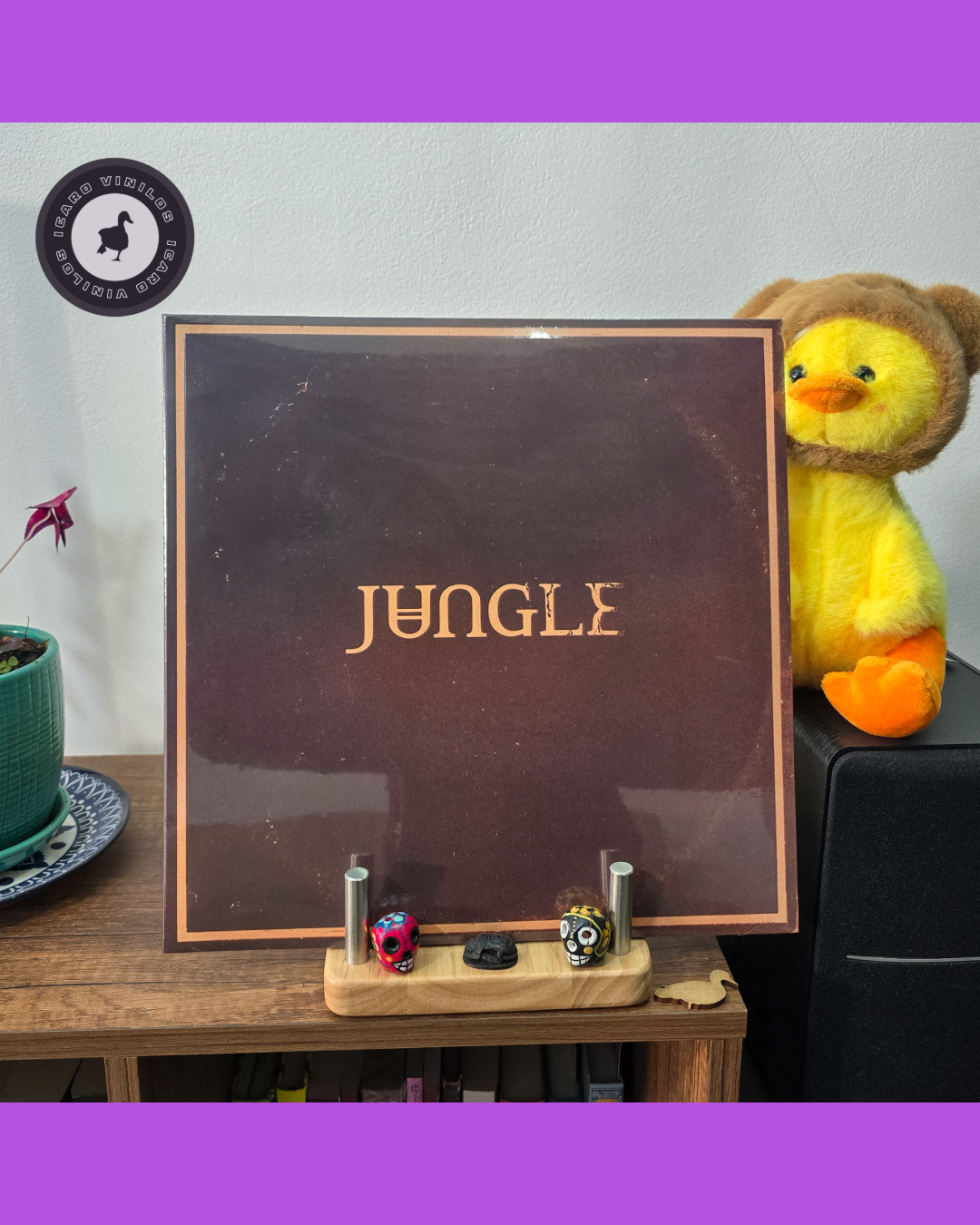 Sunshine - Jungle